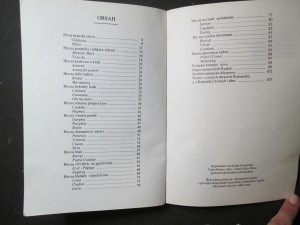 náhled knihy - 