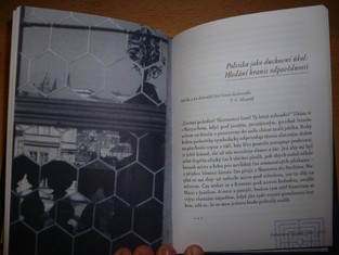 náhled knihy - 