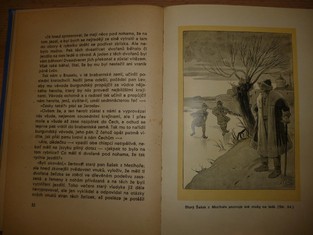 náhled knihy - 