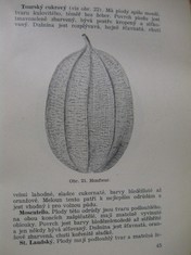 náhled knihy - 