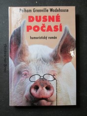 náhled knihy - Dusné počasí