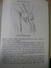 náhled knihy - 