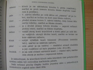 náhled knihy - 