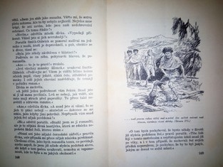 náhled knihy - 