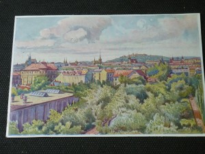 náhled knihy - Brno Pohled na Špilberk od východu