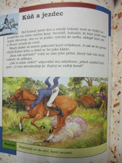 náhled knihy - 