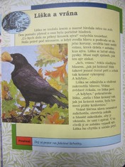 náhled knihy - 