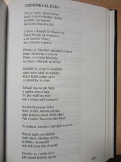 náhled knihy - 