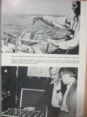náhled knihy - 