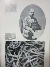 náhled knihy - 