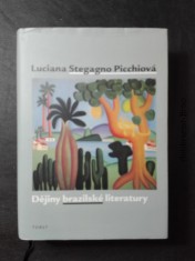 náhled knihy - Dějiny brazilské literatury