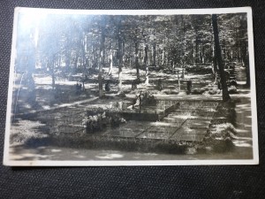 náhled knihy - Zlín. Baťova hrobka na lesním hřbitově.