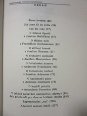 náhled knihy - 