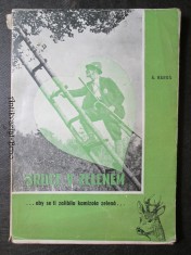 náhled knihy - Srdce v zeleném ... aby se ti zalíbila kamizola zelená...