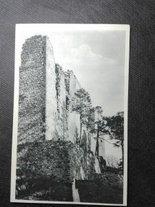 náhled knihy - Zřícenina hradu Helfenburka u Bavorova