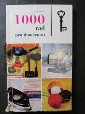 náhled knihy - 1000 rad pro domácnost