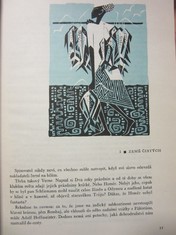 náhled knihy - 