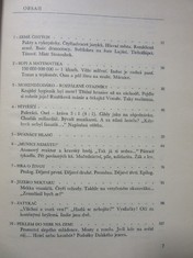 náhled knihy - 