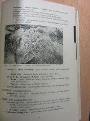 náhled knihy - 