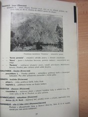náhled knihy - 