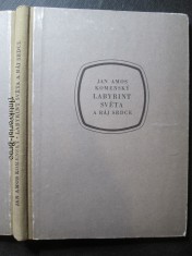náhled knihy - Labyrint světa a ráj srdce, to jest, Světlé vymalování