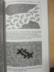 náhled knihy - 