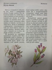 náhled knihy - 