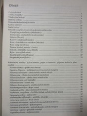 náhled knihy - 
