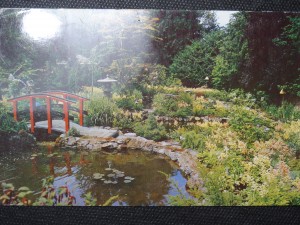 náhled knihy - The Japanese Garden