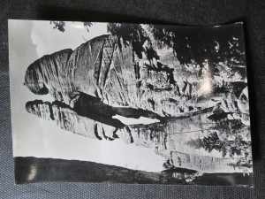 náhled knihy - Adršpašské skály - přírodní rezervace. Milenci - pohled od Skalního hradu ve Skalním městě (Vlevo Ženich, vpravo Nevěsta)