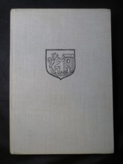 náhled knihy - Břeclav - dějiny města