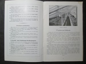 náhled knihy - 