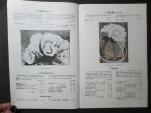 náhled knihy - 