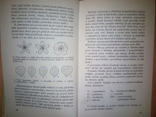 náhled knihy - 