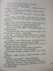 náhled knihy - 