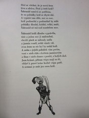 náhled knihy - 