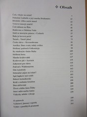 náhled knihy - 