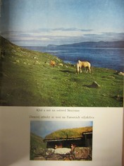 náhled knihy - 