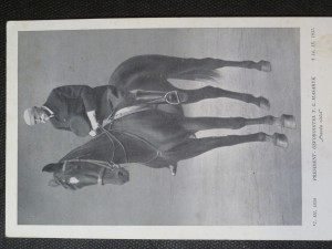 náhled knihy - Prezident - osvoboditel T. G. Masaryk (7. 3. 1850 - 14. 9. 1937)