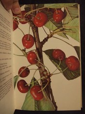 náhled knihy - 