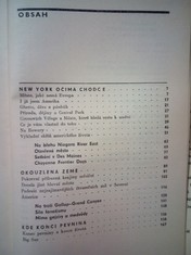 náhled knihy - 