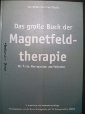 náhled knihy - Das große Buch der Magnetfeldtherapie für Ärzte Therapeuten und Patienten