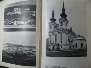 náhled knihy - 