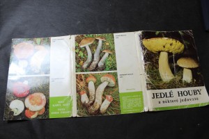 náhled knihy - Jedlé houby a některé jedovaté