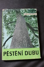náhled knihy - Pěstění dubu