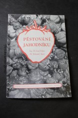 náhled knihy - Pěstování jahodníku