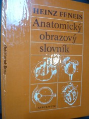 náhled knihy - Anatomický obrazový slovník