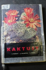 náhled knihy - Kaktusy
