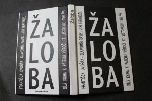 náhled knihy - Žaloba aneb Bílá kniha k pátému výročí 17. listopadu 1989