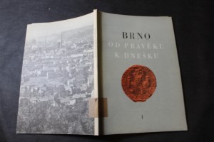 náhled knihy - Brno od pravěku k dnešku